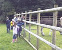 Wrexham Holiday Kids Club - Farm Walk